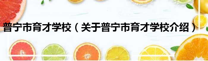 普宁市育才学校 关于普宁市育才学校介绍