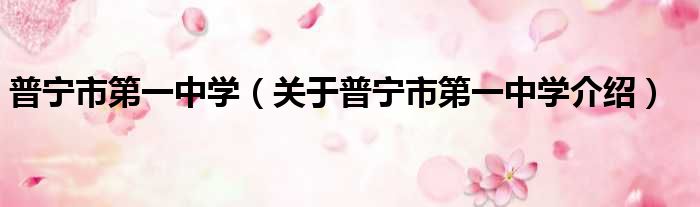 普宁市第一中学 关于普宁市第一中学介绍