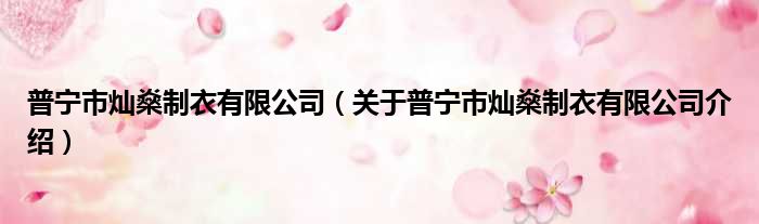 普宁市灿燊制衣有限公司 关于普宁市灿燊制衣有限公司介绍