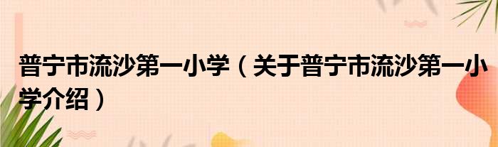 普宁市流沙第一小学 关于普宁市流沙第一小学介绍