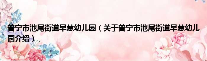 普宁市池尾街道早慧幼儿园 关于普宁市池尾街道早慧幼儿园介绍