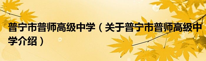 普宁市普师高级中学 关于普宁市普师高级中学介绍