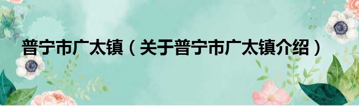 普宁市广太镇 关于普宁市广太镇介绍