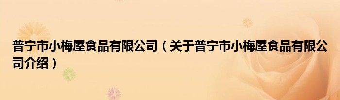 普宁市小梅屋食品有限公司 关于普宁市小梅屋食品有限公司介绍