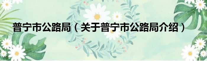 普宁市公路局 关于普宁市公路局介绍