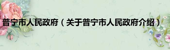 普宁市人民政府 关于普宁市人民政府介绍