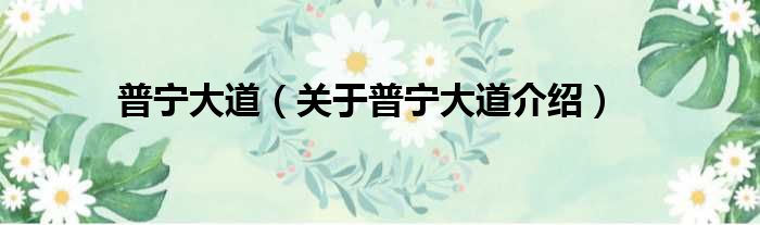 普宁大道 关于普宁大道介绍