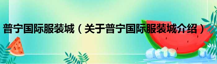 普宁国际服装城 关于普宁国际服装城介绍