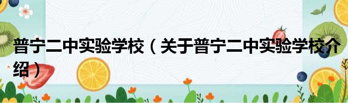 普宁二中实验学校 关于普宁二中实验学校介绍