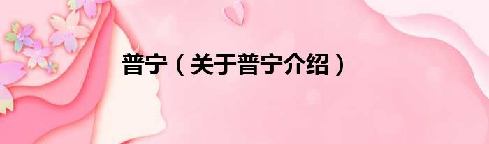 普宁 关于普宁介绍