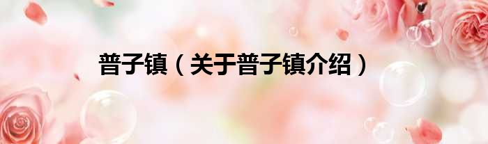 普子镇 关于普子镇介绍