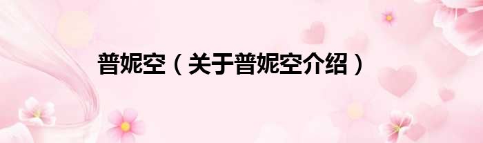 普妮空 关于普妮空介绍