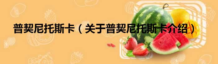 普契尼托斯卡 关于普契尼托斯卡介绍