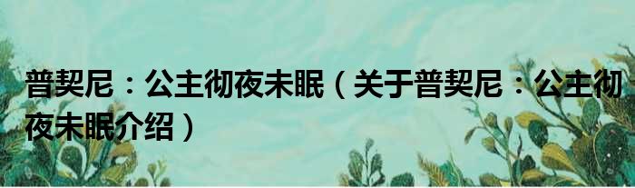 普契尼：公主彻夜未眠 关于普契尼：公主彻夜未眠介绍