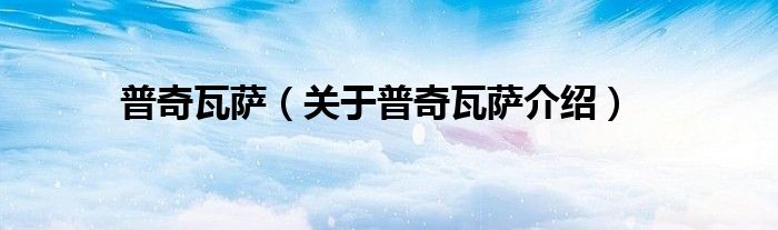 普奇瓦萨 关于普奇瓦萨介绍