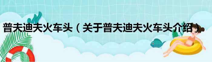 普夫迪夫火车头 关于普夫迪夫火车头介绍