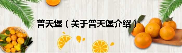 普天堡 关于普天堡介绍