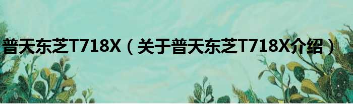 普天东芝T718X 关于普天东芝T718X介绍