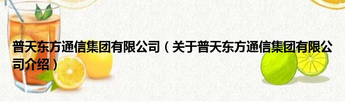 普天东方通信集团有限公司 关于普天东方通信集团有限公司介绍