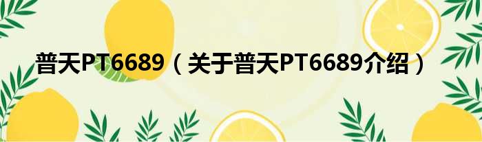普天PT6689 关于普天PT6689介绍