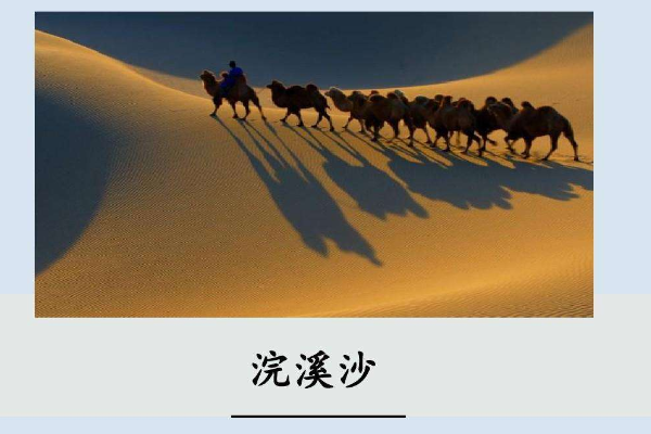 纳兰性德的浣溪沙赏析及意思