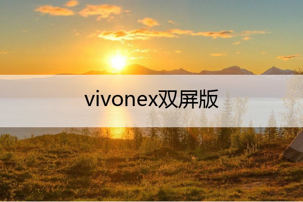 vivonex双屏版 vivonex双屏版二手卖多少钱