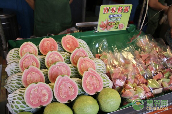 红心果的原产地在哪 有哪些食用方法