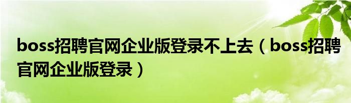 boss招聘官网企业版登录不上去 boss招聘官网企业版登录