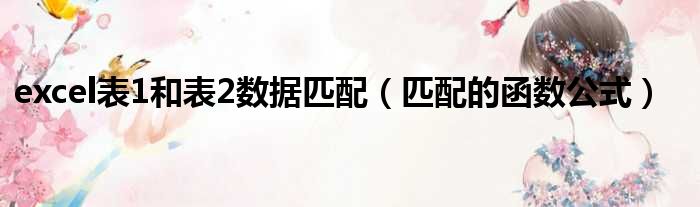 excel表1和表2数据匹配 匹配的函数公式