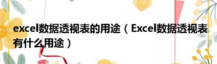 excel数据透视表的用途 Excel数据透视表有什么用途