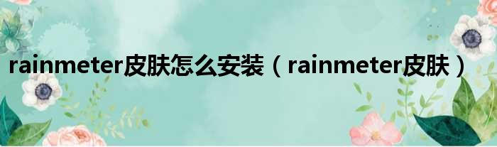 rainmeter皮肤怎么安装 rainmeter皮肤