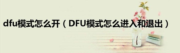 dfu模式怎么开 DFU模式怎么进入和退出