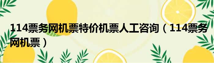 114票务网机票特价机票人工咨询 114票务网机票
