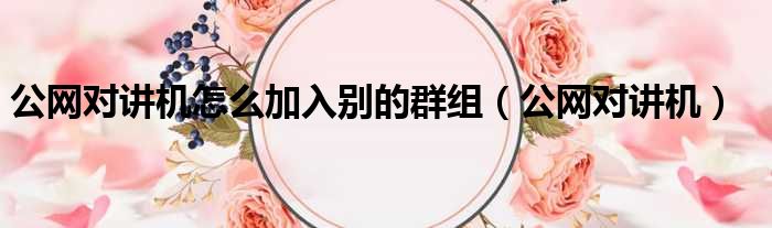 公网对讲机怎么加入别的群组 公网对讲机
