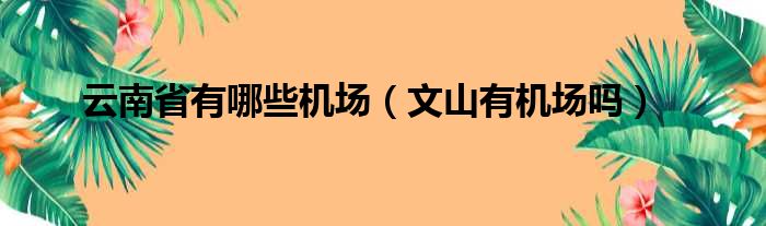云南省有哪些机场 文山有机场吗