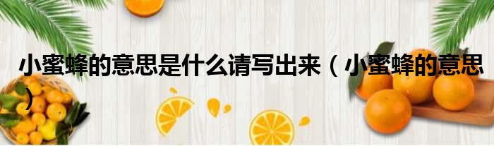 小蜜蜂的意思是什么请写出来 小蜜蜂的意思