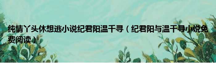 纯情丫头休想逃小说纪君阳温千寻 纪君阳与温千寻小说免费阅读