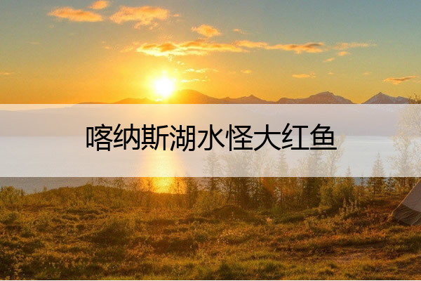 喀纳斯湖水怪大红鱼 喀纳斯湖发现巨大红鱼