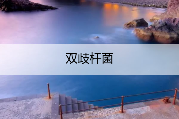 双歧杆菌 双歧杆菌四联活菌片能长期服用吗