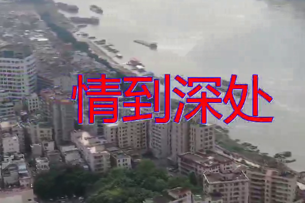 情到深处后半句是什么