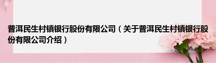 普洱民生村镇银行股份有限公司 关于普洱民生村镇银行股份有限公司介绍