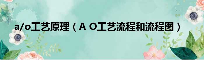 a/o工艺原理 A O工艺流程和流程图