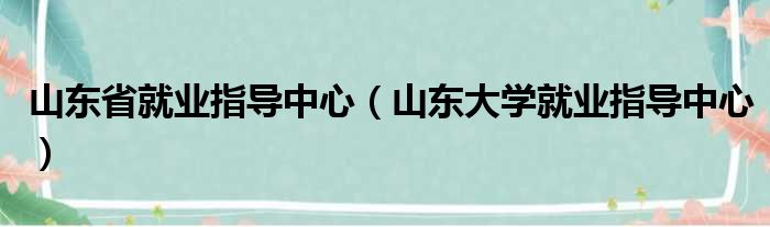 山东省就业指导中心 山东大学就业指导中心