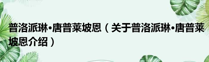 普洛派琳·唐普莱坡恩 关于普洛派琳·唐普莱坡恩介绍