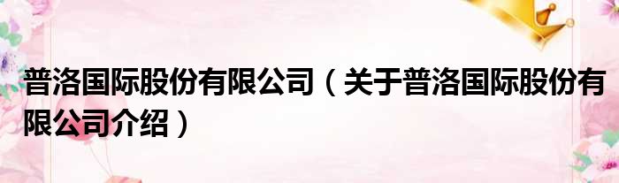 普洛国际股份有限公司 关于普洛国际股份有限公司介绍