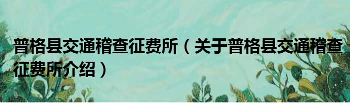 普格县交通稽查征费所 关于普格县交通稽查征费所介绍