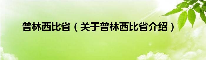 普林西比省 关于普林西比省介绍