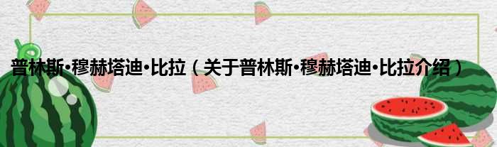 普林斯·穆赫塔迪·比拉 关于普林斯·穆赫塔迪·比拉介绍