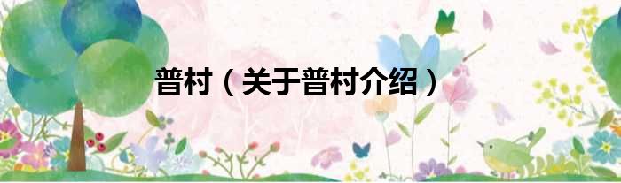普村 关于普村介绍