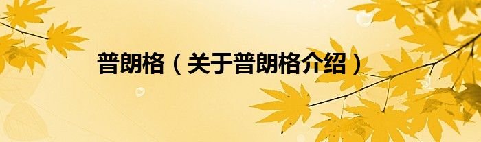 普朗格 关于普朗格介绍